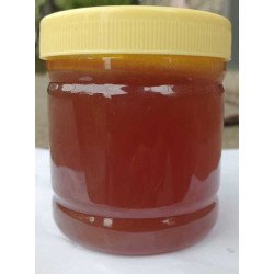 Log Honey from Kalimpong.