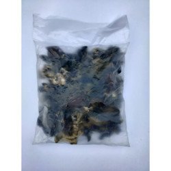 Dried Black Mushroom | Buy Now at haartbazaar.com