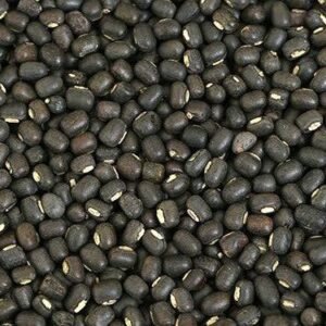 Kali Dal
