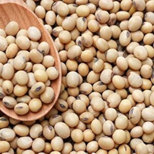 Soya Beans